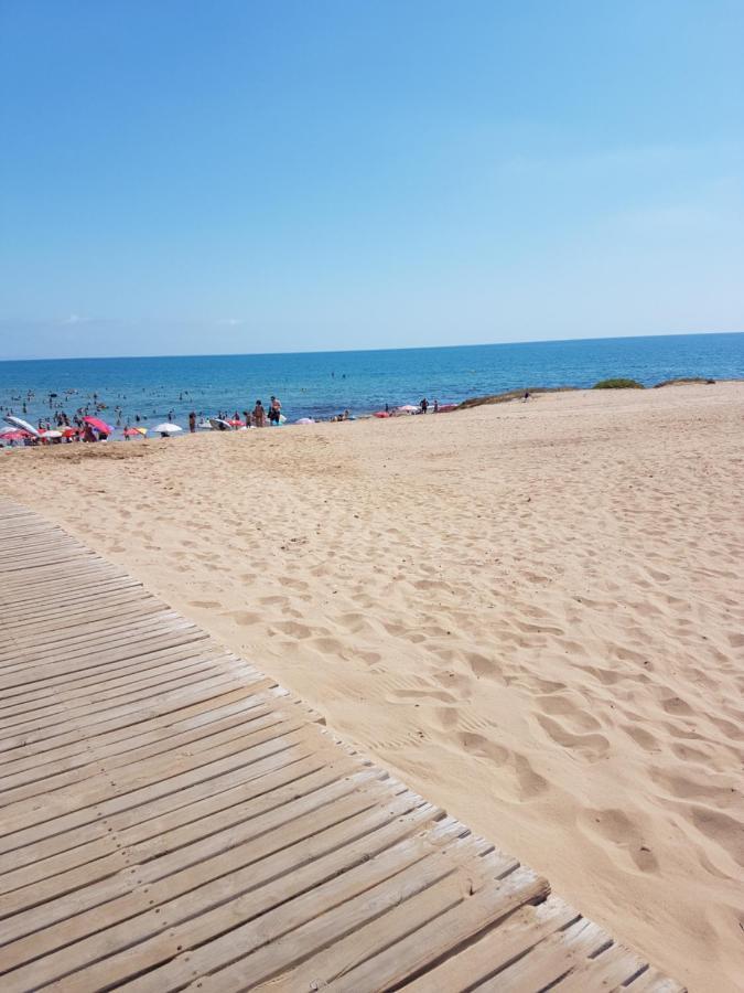 Sunny Apartament Near La Mata Beach Torrevieja Eksteriør billede